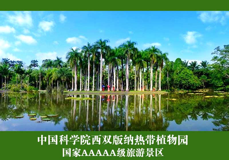 1_01.jpg
