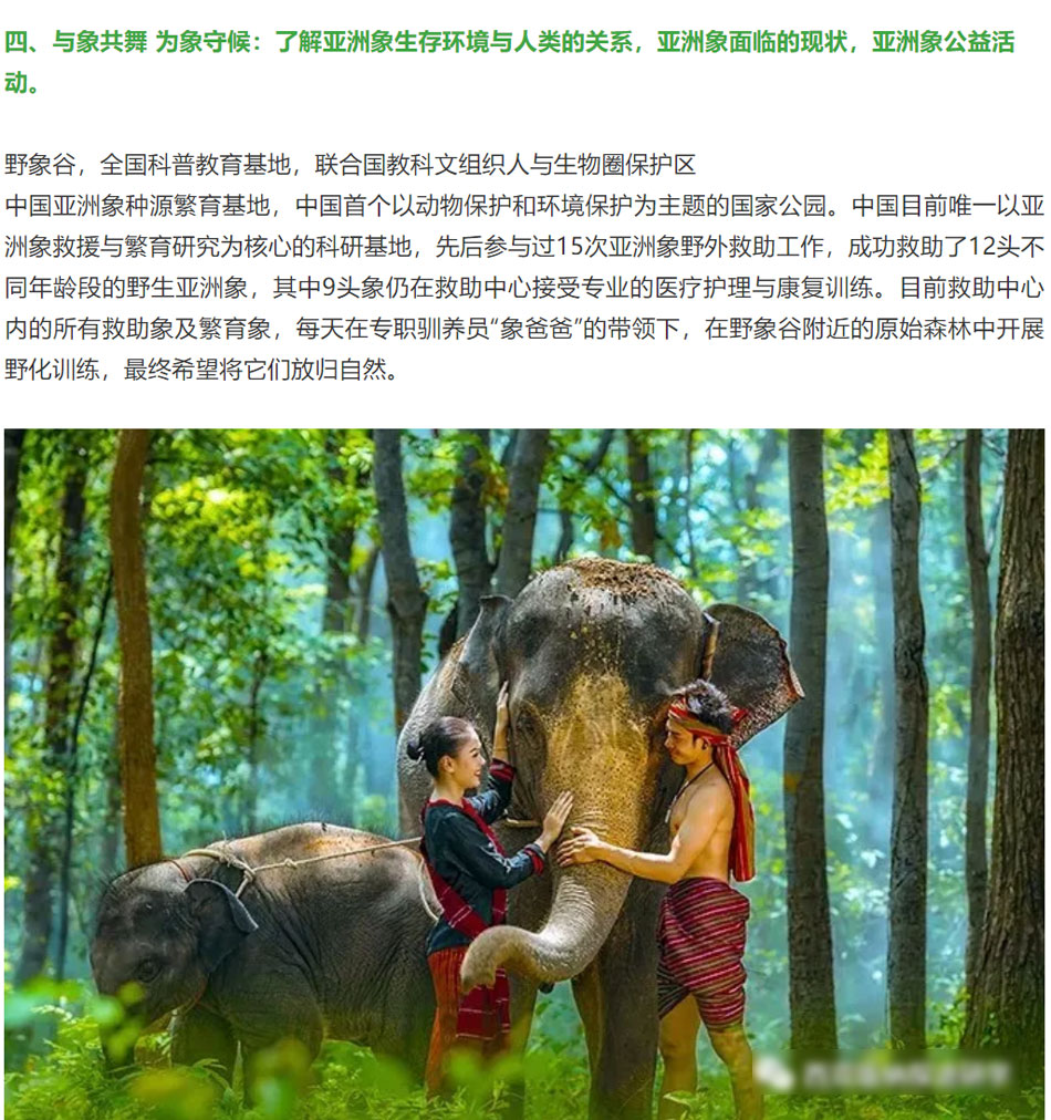 2_01.jpg